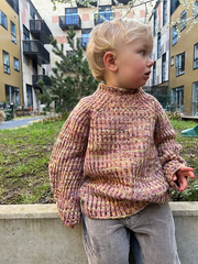 DUNAJUNIOR - Íslenska