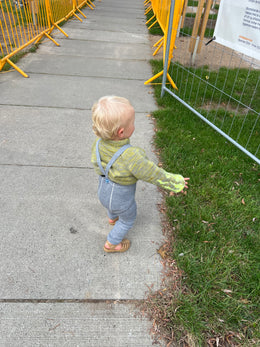 ADELEJUNIOR (8 MYNSTUR) - Icelandic